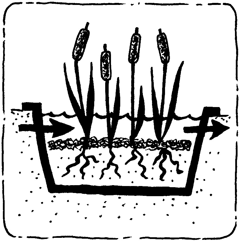 Free-Water Surface Constructed Wetland - Akvopedia