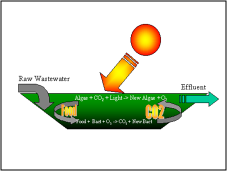 Practitioner's Tool / Types of Sewage Lagoons - Akvopedia